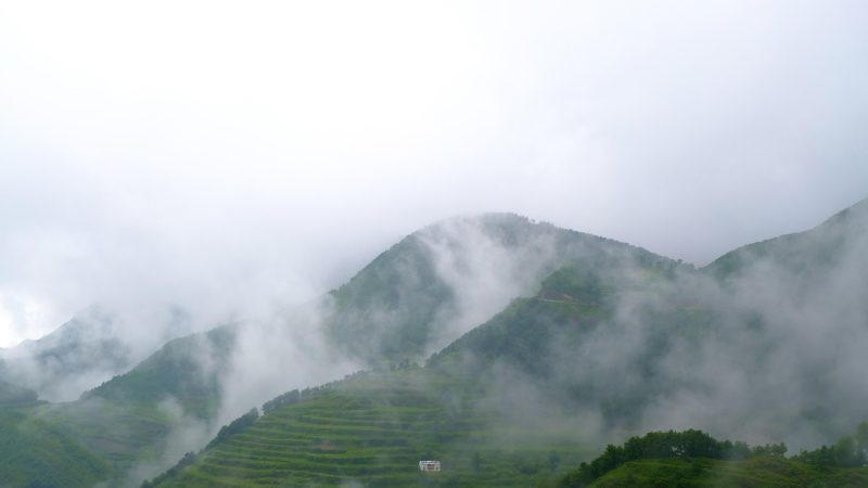做 spring activities 内容整理